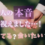 あの人の本音🍀全部視えました。あなたへの正直な気持ち。この先どうしたい？【男心タロット、細密リーディング、個人鑑定級に当たる占い】