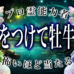 【牡牛座の1月】年始から緊急事態。知らなきゃヤバいまさかの事態が…