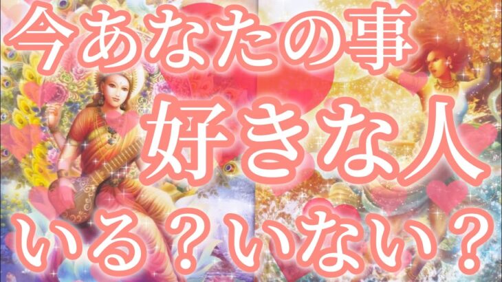 今あなた様のことが好きな人いる？いない？🫢❤️‼️イエス、ノー、はっきり出させていただきました‼️今はいませんという選択肢あります⚠️恋愛タロット占い🔮