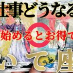 【射手座】メチャメチャ盛り上がる個人活動😲✨！【お仕事おつとめ御活動運】♾️ガチタロット占い♾️