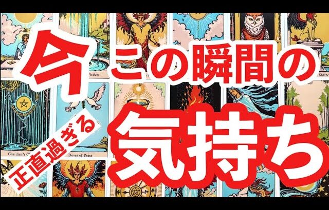 【対話タロット】あの人『言いたい放題』熱く🔥切なく🥹優しく🩷