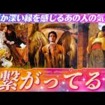【ガチ透視】深い縁を感じる🤝あの人の気持ち💓引きあうお互いの気持ち💓運命の人❤️個人鑑定級タロット