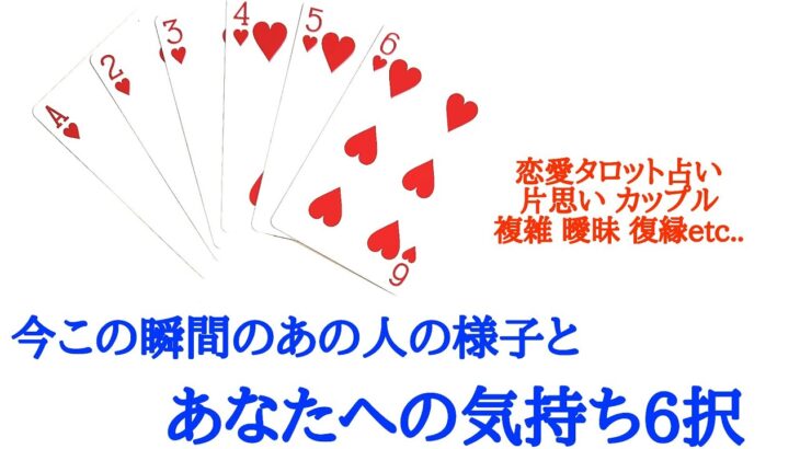 🌹恋愛タロット占い🌹今この瞬間のあの人の様子と、あなたへの気持ち6択 ♥️片思い カップル 複雑 曖昧 年の差  復縁 遠距離etc..