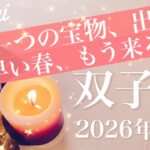 【ふたご座】2026年2月♊️清算！劇的にすっきり！やっと見つけた探し物、納得しかない、心強い味方、分かり合える雪解け
