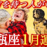 ♒️水瓶座♒️2026年1月の運勢🍀涙が溢れました😢♾️和解♾️🕊️✨