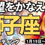 【獅子座】♌️2026年1月19日の週♌️欲望を叶えて。そして楽しみながら、進めて行く。しし座。タロットリーディング