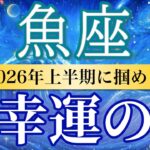 【魚座🌊2026年上半期】報酬ラッシュ！努力が形となって返ってくる🎁［運勢リーディング＆タロット＆オラクル］