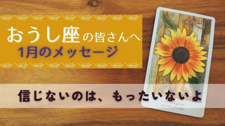 【おうし座♉️：1月】大アルカナだらけ！あなたの持つ力を侮らないでください🌿全体運🌿仕事運・恋愛＆人間関係🌿