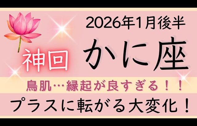 【神回✨かに座】1月後半✦豊かさを収穫、人生の大変化、笑顔が止まらない✦オラクルカードリーディング