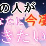あの人があなたに今凄く聞きたい事💓【お相手の前向きな気持ちとあなたへの想いハッキリ伝えてきました🥰】