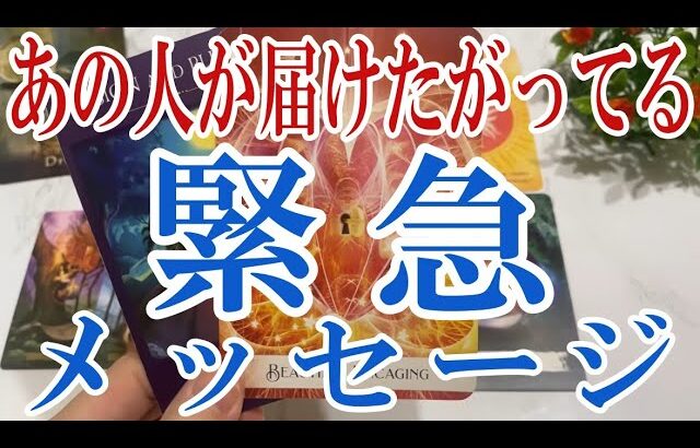 【3択恋愛タロット占い】あの人がガチであなたへ届けたがってる緊急メッセージとは？タロット・オラクルカード🩵個人鑑定級片思い・復縁・複雑恋愛・音信不通・疎遠・曖昧な関係リーディング！