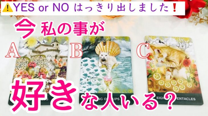 【⚠️YES or NO❗️】今わたしの事が好きな人いますか？タロット、タロット占い、恋愛