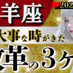 【山羊座】見ないと損かも‥1月〜3月の最重要分岐点↕️ 革命始まってる‼️2026年はこの90日が鍵🔑人間関係も解決へ【運勢/星読みタロット】