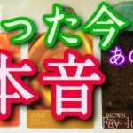 たった今お相手の【本音】忖度無し辛口有り❤️‍🔥サイキックタロットリーディング🪬人間関係・恋愛・仕事関係