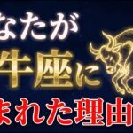 【2026年運勢】動かないと言われ続けた牡牛座へ。動く時がついに来ました【2026年運勢】動かないと言われ続けた牡牛座へ。動く時がついに来ました