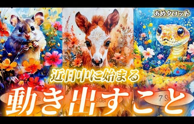 【ハッキリします💛】本当に起きる❗️しかも分かりやすく近日中に動き出すこと🔮もちろん良い流れです🌈✨✨　個人鑑定級タロット占い