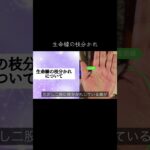 これがある人は将来安泰 #手相 #占い #手相占い #手相鑑定