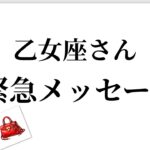 【最高の2月を迎えます✨乙女座さんへのメッセージ💌】全体運⭐️仕事運⭐️恋愛運🩷において最もラッキーなお誕生日の方をお伝えします🩷ガッツリ読み解きました🃏