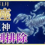 【蠍座♏金運】涙が止まらない…7年間の「人間地獄」がついに終わります。1月27日、あなたは全ての苦しみから解放されます【月詠の12星座】