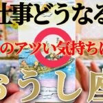 【牡牛座】痛くない😲見えざる力がお尻を叩きます🙏！【お仕事おつとめ御活動運】♾️ガチタロット占い♾️
