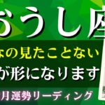 牡牛座さん♉2026年2月の運勢✨こんなの見たことない！想いが形になります！【全体運・仕事運/金運・アドバイス・星読み】タロット占い＆占星術