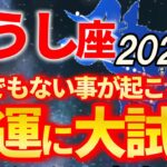 【牡牛座♉2026年上半期運勢】8年間続いた激動を終え、お金を生み出す人が続出します【12星座占い】