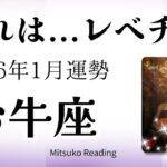 牡牛座1月は感動！レベチな盛り上がりです。急展開はすぐそこ、準備して！2026年1月運勢【癒しのタロット個人鑑定級】