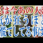 【3択恋愛タロット占い】あの人があなたとの事で気が狂うほど大慌てしてる事は？タロット・オラクルカード🩵個人鑑定級恋愛・片想い・復縁リーディング！