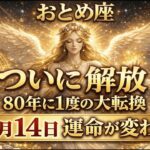 【2026年 乙女座運勢】※80年に一度の衝撃！2月14日を境に、乙女座の苦労が終わり、人生の主役へ覚醒！嘘ではありません、おめでとうございます！
