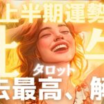 【牡牛座♉️2026年上半期の運勢】史上最高のロケットスタート🚀流れに乗りながら幸せを掴む！愛も深まる半年間❤️タロット占い