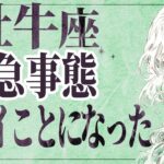 【⚠️怖いほど当たる…】⚠️ 牡牛座は2月前半にとんでもないことが起こります。運命が切り替わる重要サイン【運勢タロット占い】
