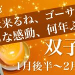 ふたご座♊️2026年1月後半〜2月前半🌝強い後押し！前に行けって言われてる笑！青信号、点灯！少しずつ見える始まりの兆し、両方大切、