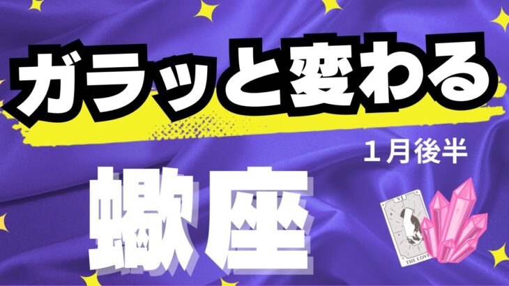 【蠍座♏️1月後半】大きな転換点来てます！✨〜正直、強い！（タロットカードリーディング）