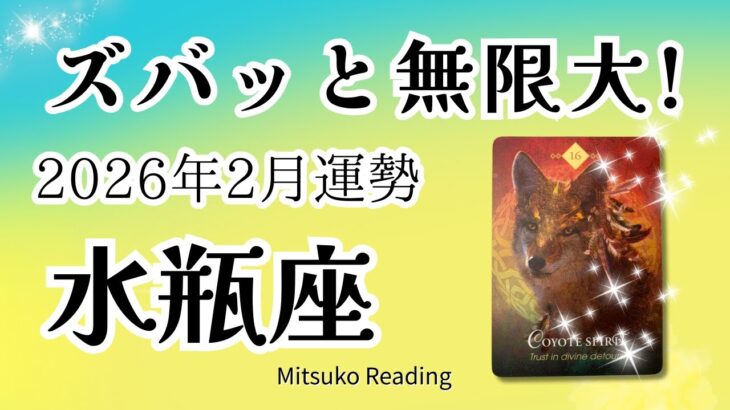 水瓶座2月は奇跡！ズバッと来るよ無限大！高望み上等です♡2026年2月運勢仕事恋愛人間関係【癒しのタロット個人鑑定級】