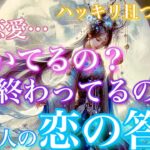 【🦋ハッキリ且つリアル💞 】この恋愛は続いているの？それとも終わっているの？あの人の答え🦄