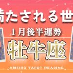 【牡牛座♉️１月後半】遠いと思った願いは意外と近くにある‼️良き出会いや発見で心満たされる世界へ。