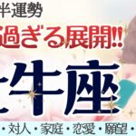 牡牛座さん、本当にお疲れ様でした!! ご褒美タイム！大到来🎉✨ [仕事/対人/家庭/恋愛/願望/全体運] 細密リーディング/2026年2月前半/タロット占い