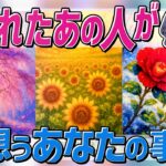 【厳しめ真実あります⚠️】あの人は今何をしていて、誰を想っているの…。忖度なしにつき、見る見ないの判断を🙏当たるタロット占い・オラクル・ルノルマン