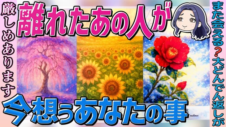 【厳しめ真実あります⚠️】あの人は今何をしていて、誰を想っているの…。忖度なしにつき、見る見ないの判断を🙏当たるタロット占い・オラクル・ルノルマン