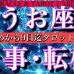 うお座♓︎2026年1月5日から9日までの仕事運！タロット1日一枚引き❤️‍🔥心配しなくて大丈夫😍