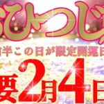牡羊座さん見て！人生は早送りしなくてイイ🍀ノイズはイラナイ😲✨【2月前半運勢】♾️タロット占い♾️