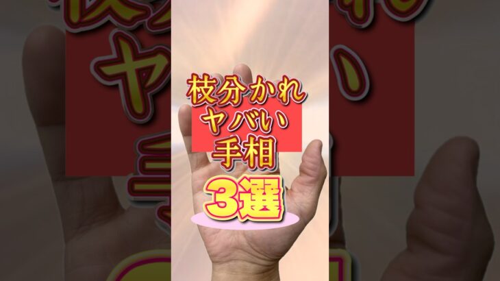 【手相占い】枝分かれがヤバい手相3選 #手相  #開運  #雑学  #40代  #50代