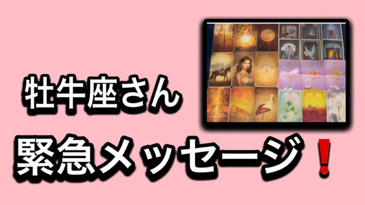 【最高の1月を迎えた✨牡牛座さんへのメッセージ💌】⚡️😱全体運⭐️仕事運⭐️恋愛運🩷人間関係🩷ガッツリ読み解きました🃏