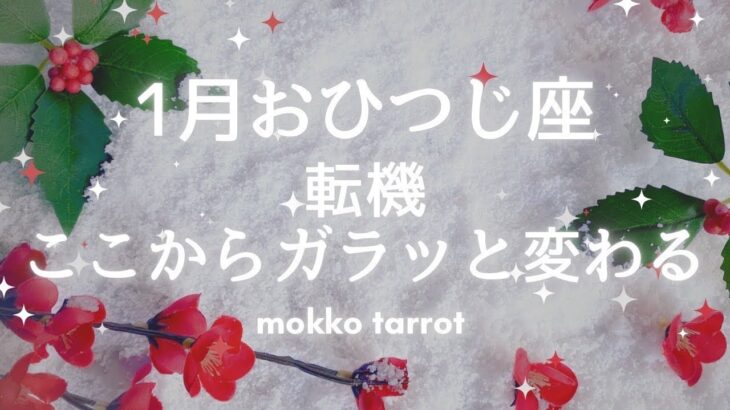 【牡羊座さん　２０２６年　１月】　180度変わります　最高の一年