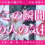 【最新✨恋愛💖】今この瞬間のあの人のあなた様へのお気持ち🔮🦋タロットカードで深堀＆ズバリ鑑定します✨