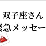 【最高の2月を迎えます✨双子座さんへのメッセージ💌】全体運⭐️仕事運⭐️恋愛運🩷において最もラッキーなお誕生日の方をお伝えします🩷ガッツリ読み解きました🃏