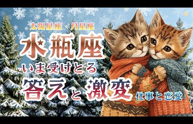 ♒️水瓶座🌙2月⭐️高く飛び立ちます 静寂が導く必要な答え 繰り返し浮かぶ言葉や光景がヒント🌟しあわせになる力を引きだすタロットセラピー 水瓶座