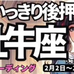 【牡牛座】♉️2026年2月2日の週♉️思いっきり後押し。ご自身の希望をけして見失わないように。おうし座。タロットリーディング