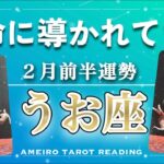 【うお座♓️２月前半】大丈夫‼️運命に導かれている🌈✨