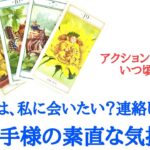 🌹恋愛タロット占い🌹あの人は、私に会いたいと思っていますか？連絡したいと思っていますか？お相手様の現状 あなたへの気持ち アクションあるか いつ頃かetc..